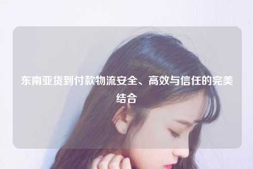 东南亚货到付款物流安全、高效与信任的完美结合